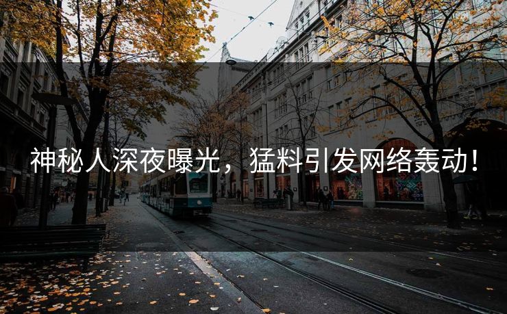 神秘人深夜曝光，猛料引发网络轰动！