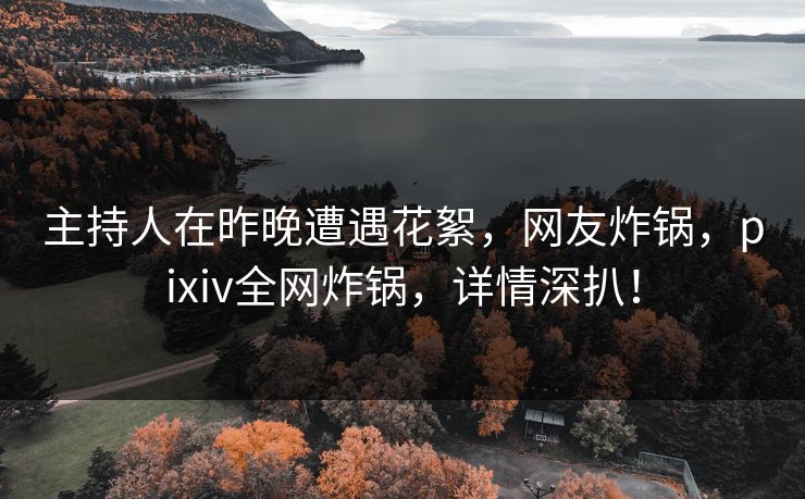 主持人在昨晚遭遇花絮，网友炸锅，pixiv全网炸锅，详情深扒！