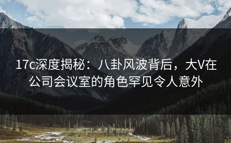 17c深度揭秘：八卦风波背后，大V在公司会议室的角色罕见令人意外